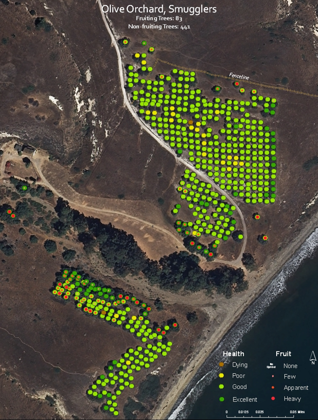 Orchard Map