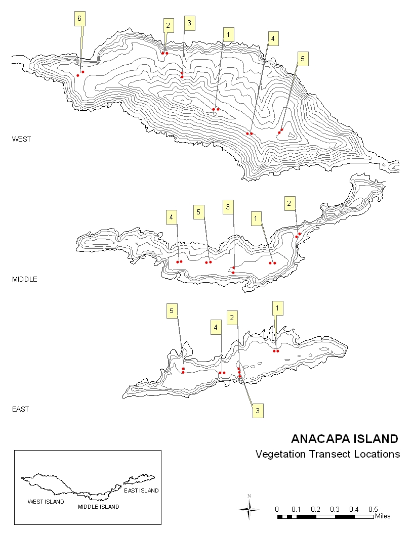 Anacapa Island Vegetation Transects Map